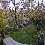 Dalla Isi Il Giardino Sul Golfo Апартаменты *