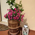 Dalla Isi Il Giardino Sul Golfo * Pitelli