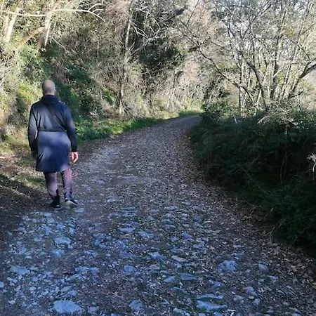 Dalla Isi Il Giardino Sul Golfo Appartamento Pitelli