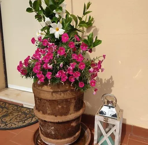 Dalla Isi Il Giardino Sul Golfo * Pitelli