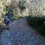 Dalla Isi Il Giardino Sul Golfo Lejlighed Pitelli