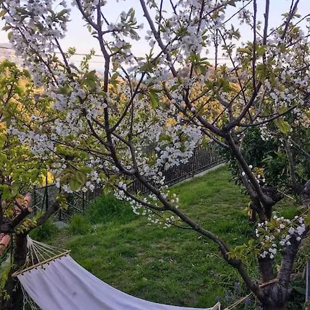 Dalla Isi Il Giardino Sul Golfo 아파트 *