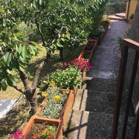 Dalla Isi Il Giardino Sul Golfo 公寓