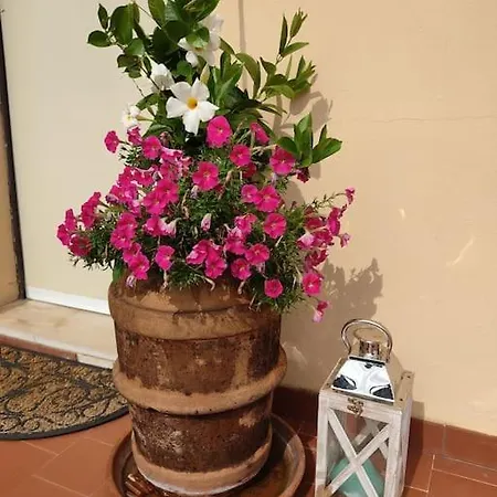 Dalla Isi Il Giardino Sul Golfo * Pitelli