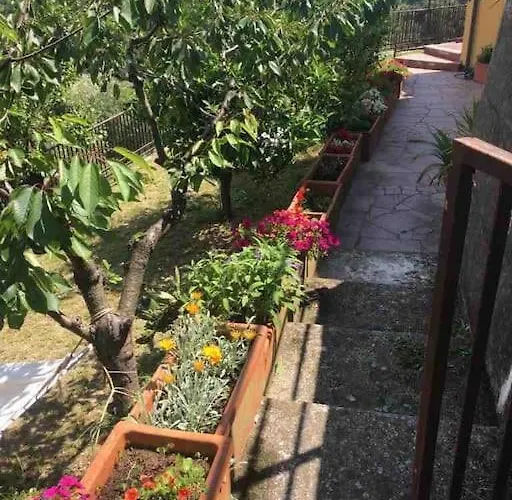 Dalla Isi Il Giardino Sul Golfo Lägenhet